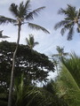 DSC00046