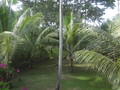 DSC00047