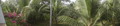 DSC00048