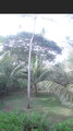 DSC00049