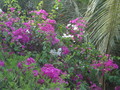 DSC00051