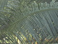 DSC00053