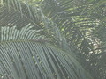 DSC00054