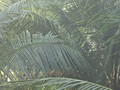DSC00055