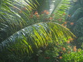 DSC00056