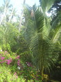 DSC00057