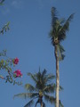 DSC00058