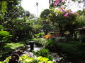 DSC00059