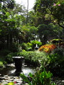DSC00060