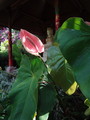 DSC00061