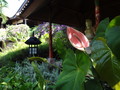 DSC00062