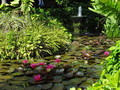 DSC00063