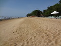 DSC00067