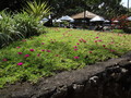 DSC00071
