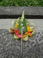 DSC00081