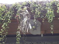 DSC00092