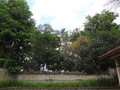DSC00112