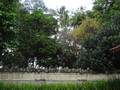 DSC00113