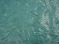 DSC00115