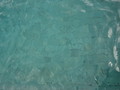 DSC00116