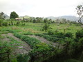 DSC00158