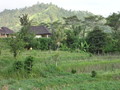 DSC00160