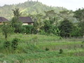 DSC00161