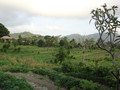 DSC00162