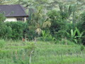 DSC00163