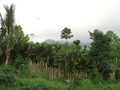 DSC00164