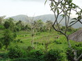 DSC00166