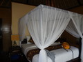 DSC00172