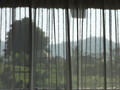 DSC00178