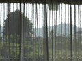 DSC00179