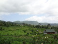 DSC00183
