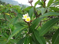 DSC00184