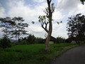 DSC00186