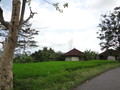 DSC00187