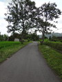 DSC00188