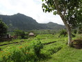 DSC00190