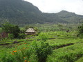 DSC00191