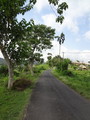 DSC00192