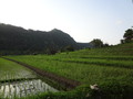 DSC00193