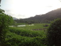 DSC00194