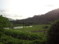 DSC00195