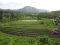 DSC00196