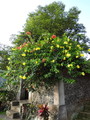 DSC00198