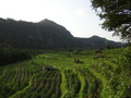 DSC00199