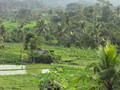 DSC00200