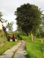 DSC00201